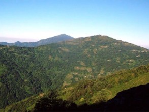 चोरीशिकारी बढेपछि चुरे क्षेत्रमा मासिँदै पशुपंक्षी